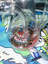 Cargar imagen en el visor de la galería, Dirk Diggler Glass Coral Reef Recycler Rigs 1-3