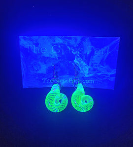 Eran Park Glass UV Sea Shell Ear Rings (Pair)